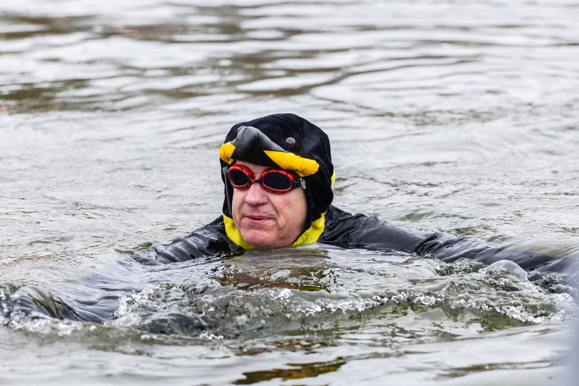 FOTOD ja VIDEOD | Hulljulged Pingviinide paraadi osalejad pidasid Vabariigi aastapäeva jäises vees