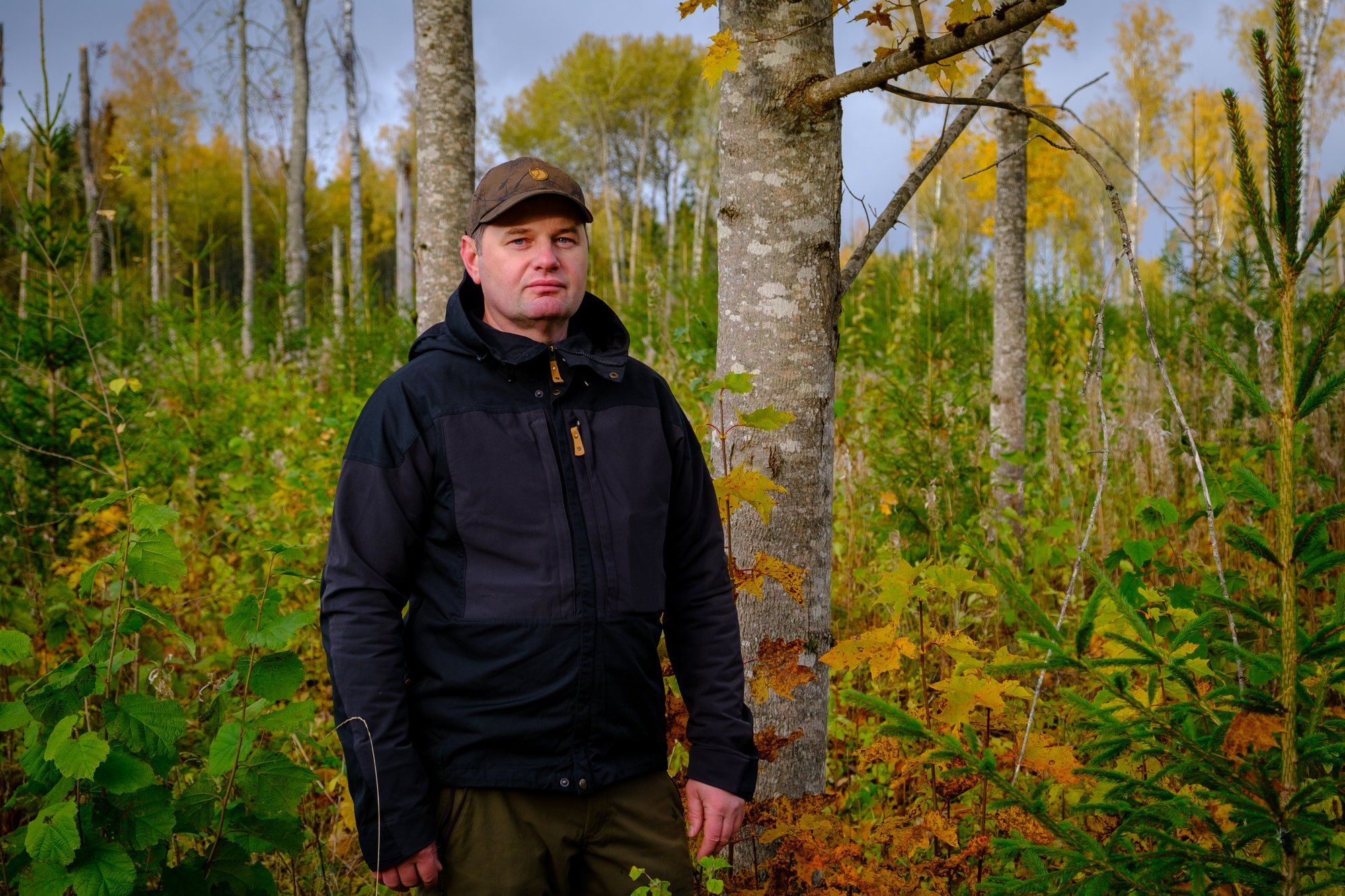 Toetuste toel püsib mets elujõuline