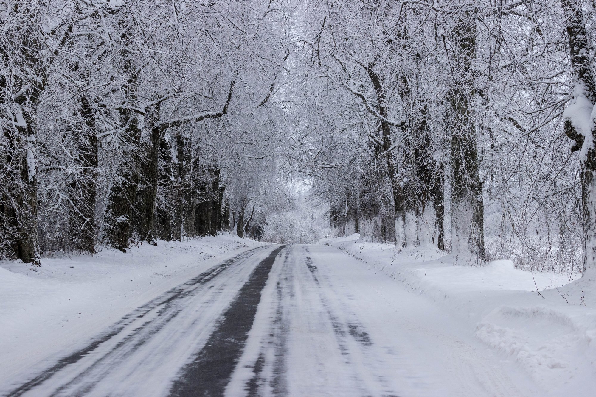 KUUPROGNOOS | Veebruar toob krõbedat külma, kuu viimases veerandis on oodata muutusi
