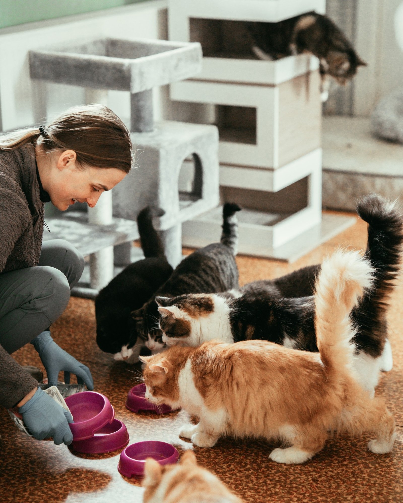 Varjupaigaloomad peagi enam järglasi ei saa