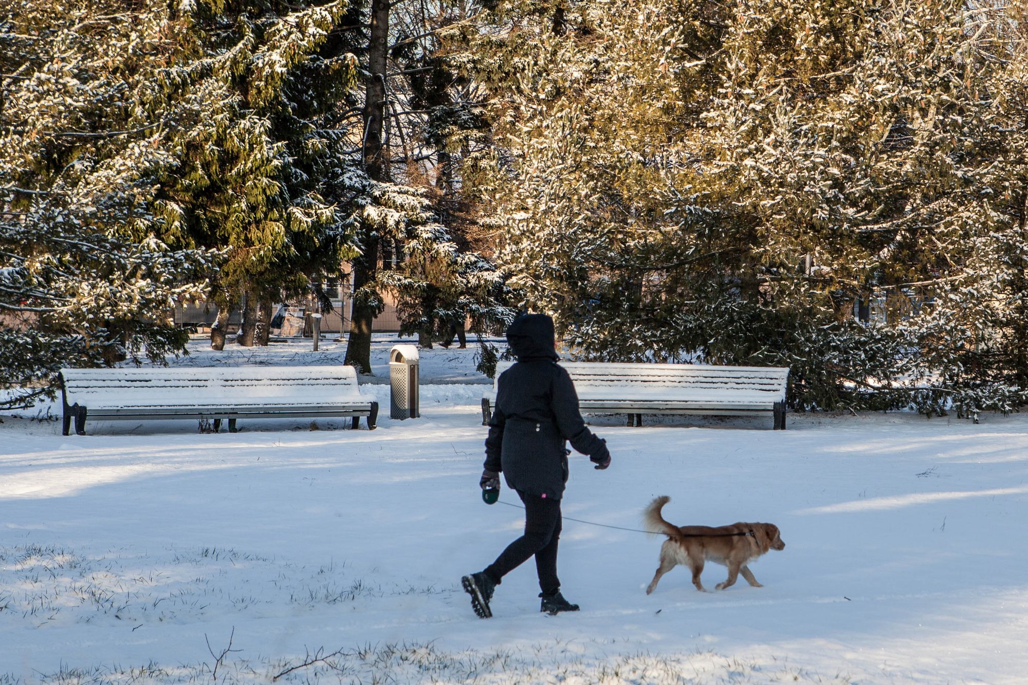 Otsus vaadati ümber. Pärnu linnavõim loobus kõnniteede soolatamisest