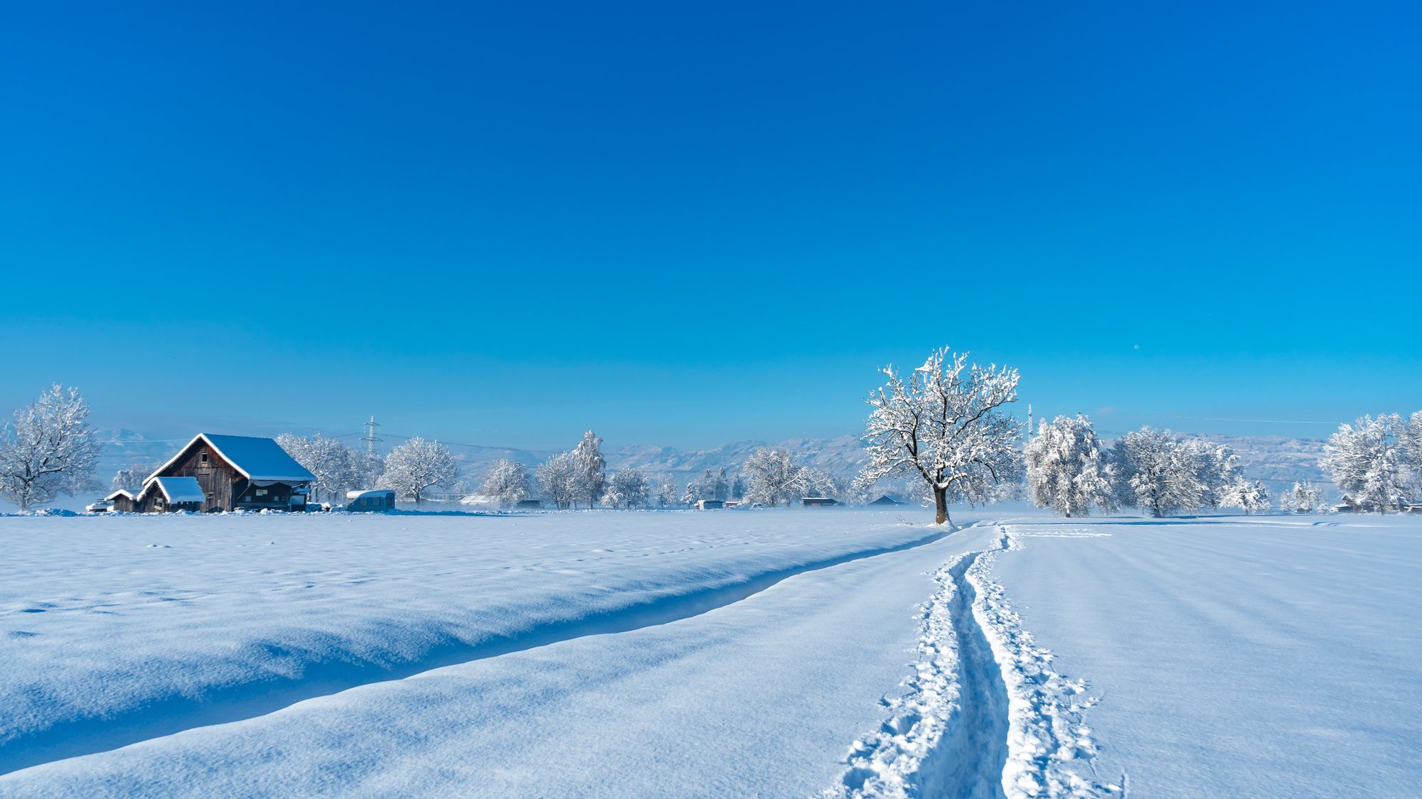 Veebruari külvikalender