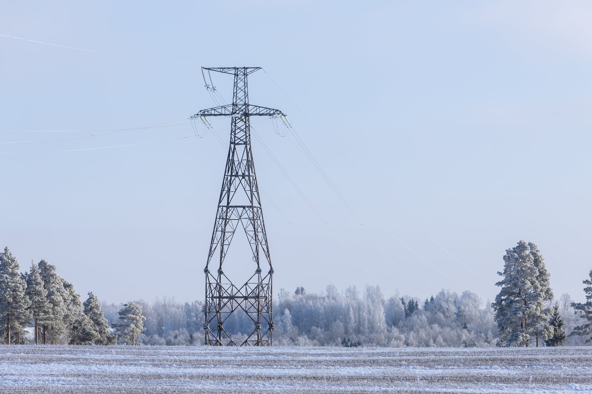 GRAAFIKUD | Tõnu Mertsina: jaanuari elektrihindade põhjal ei tasu veel tormakaid otsuseid teha