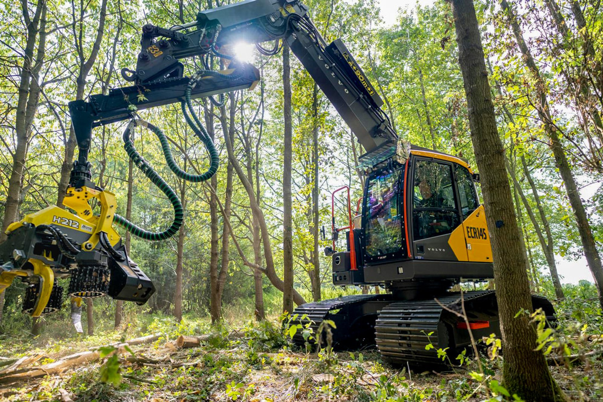 Metsatehnika uudiseid: pikenduspoom, võimsad saed ja forvarder