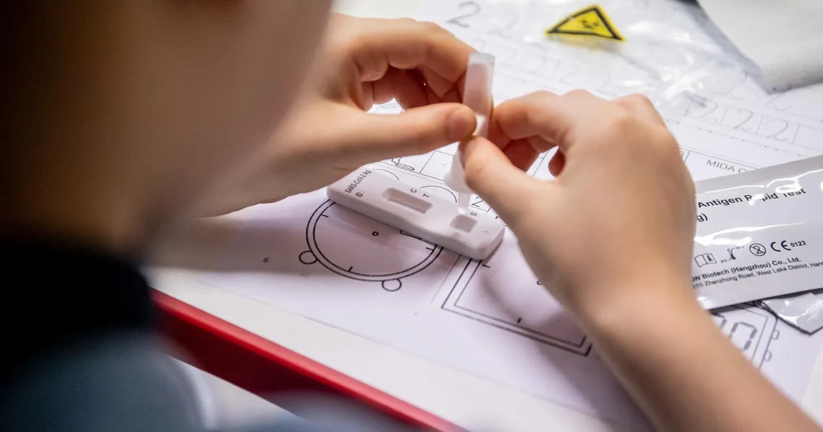 LAIVI RELLO ⟩ Kas riiklikud õppevideod võiksid päästa Eesti hariduse?