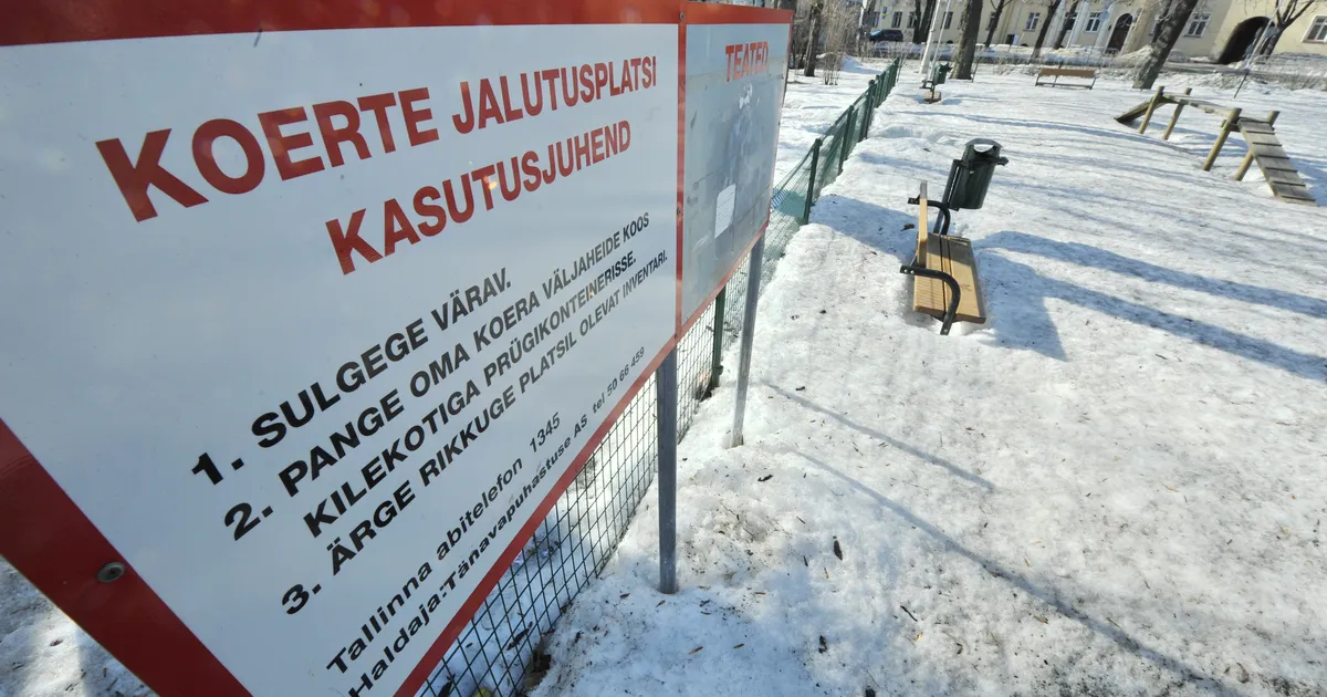 VIDEO ⟩ Kevadised plusskraadid paljastavad tänavatel piinliku probleemi: see ei ole looduslik väetis ja ei kao ise ära