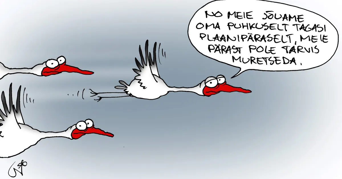 JUHTKIRI ⟩ Eestlasi ei jäeta maha