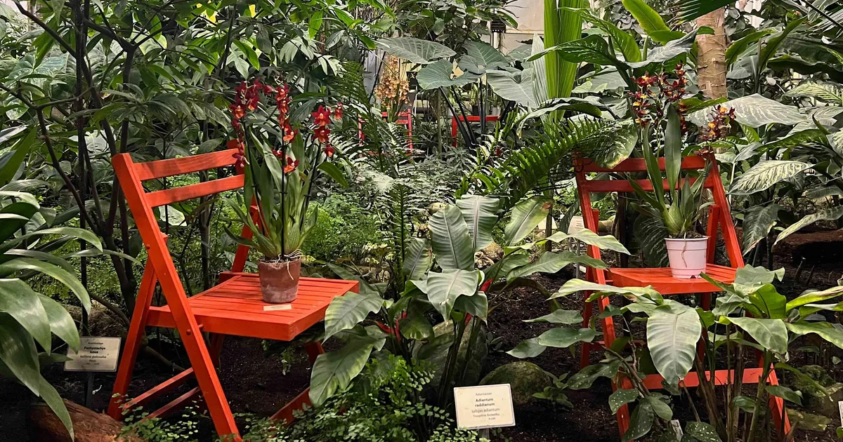 ELU 25 ⟩ Juku-Kalle Raid: VAATA VIDEOT! Kui maailmas õitsevad raketid, siis meil lilled