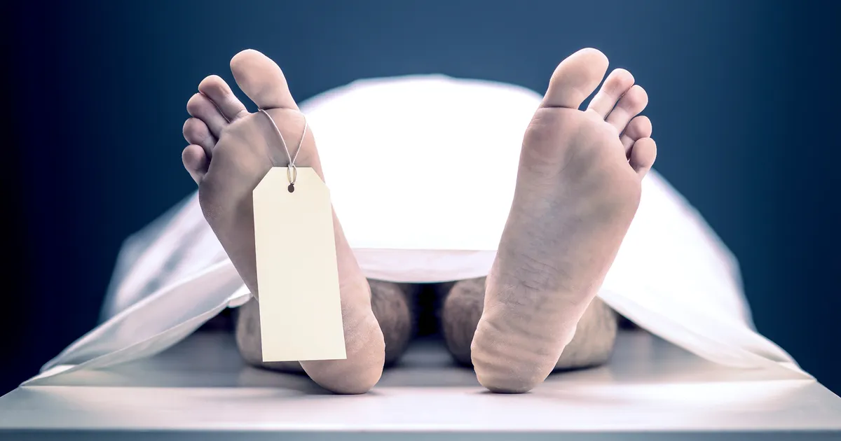 VÕIGAS ⟩ Šokk Balil: rannast leitud pea ja jäsemed võivad kuuluda röövitud Ukraina miljonäri pojale