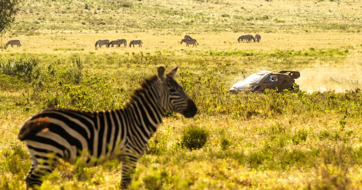 AJAKAVA ⟩ Keenia ralli algab neljapäeval, stardis kaks Eesti rallipaari