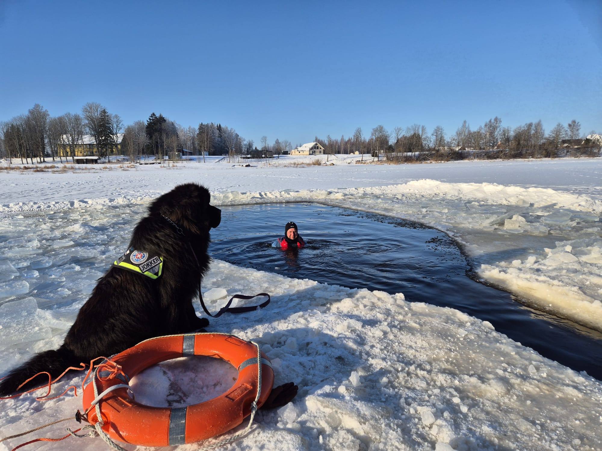Vetelpäästekoera juht: meie südameasi on veeohutus ja elanikkonna kaitse, riik võiks seda toetada