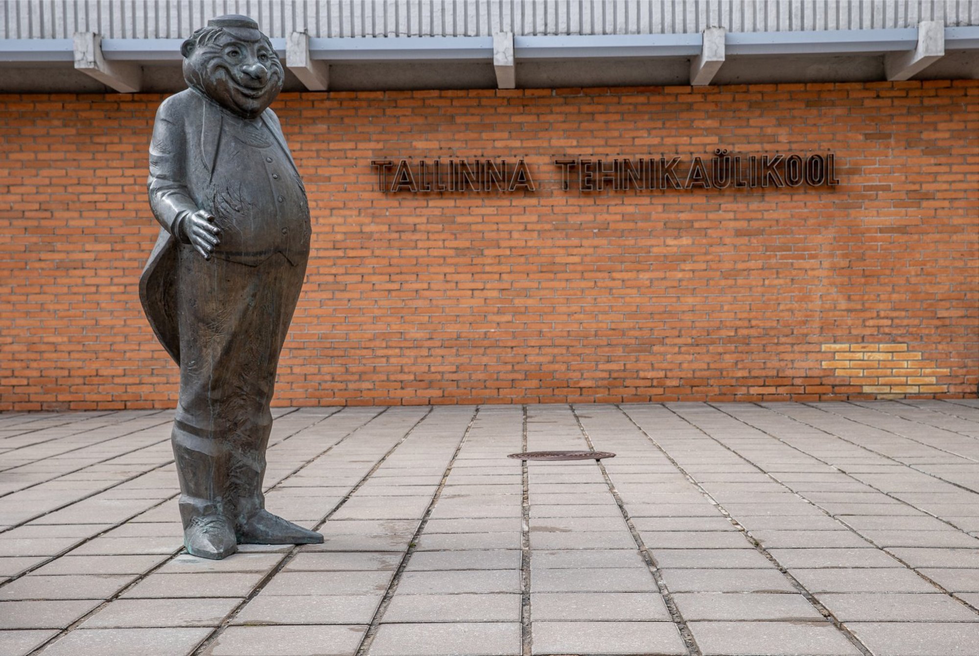 Alzheimerist vesikirpudeni: milliseid doktoritöid kaitsesid mullu TalTechis naised?