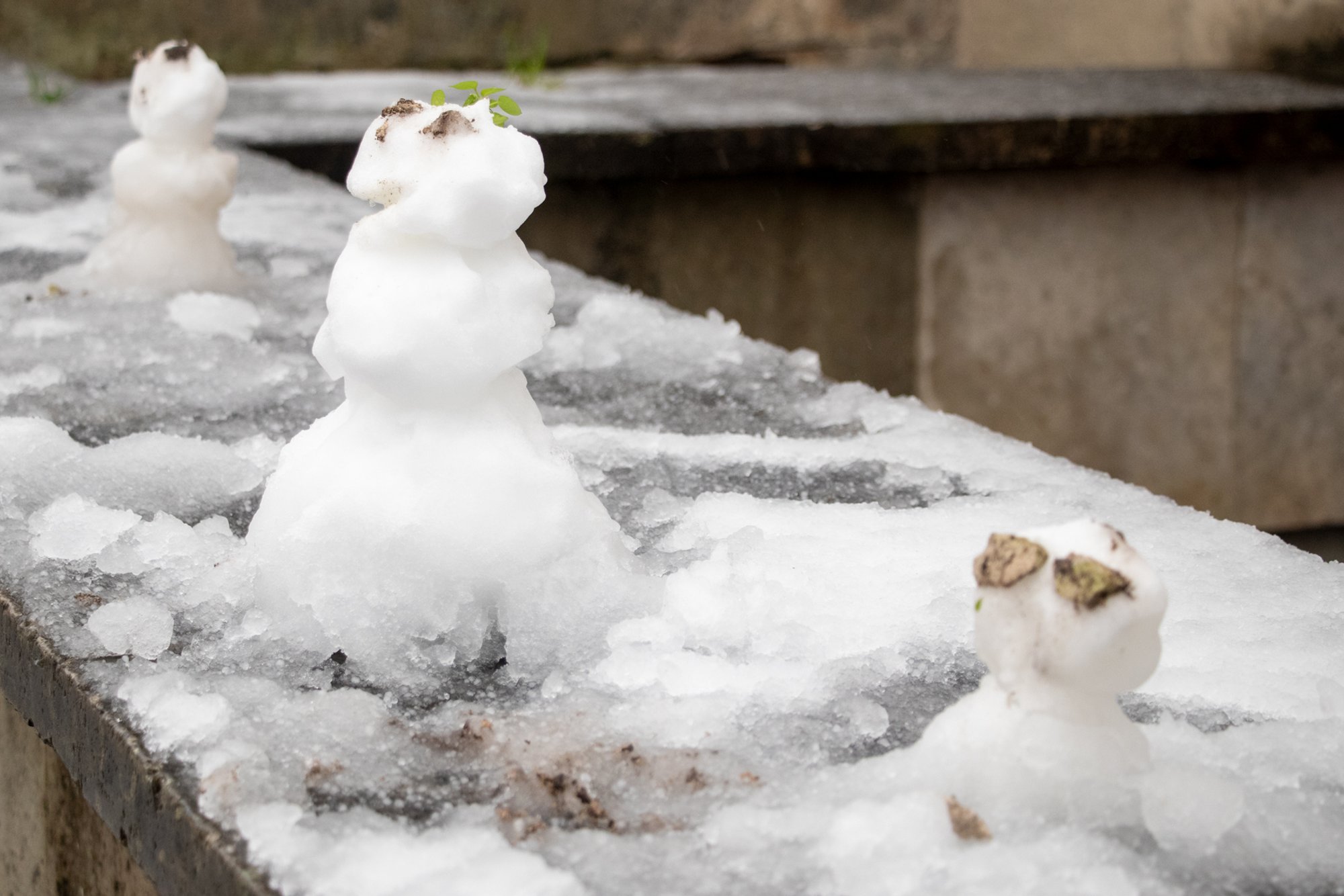KUUPROGNOOS | Märtsi alguses on tunda veel talvist kargust, kuu teine pool toob muutusi