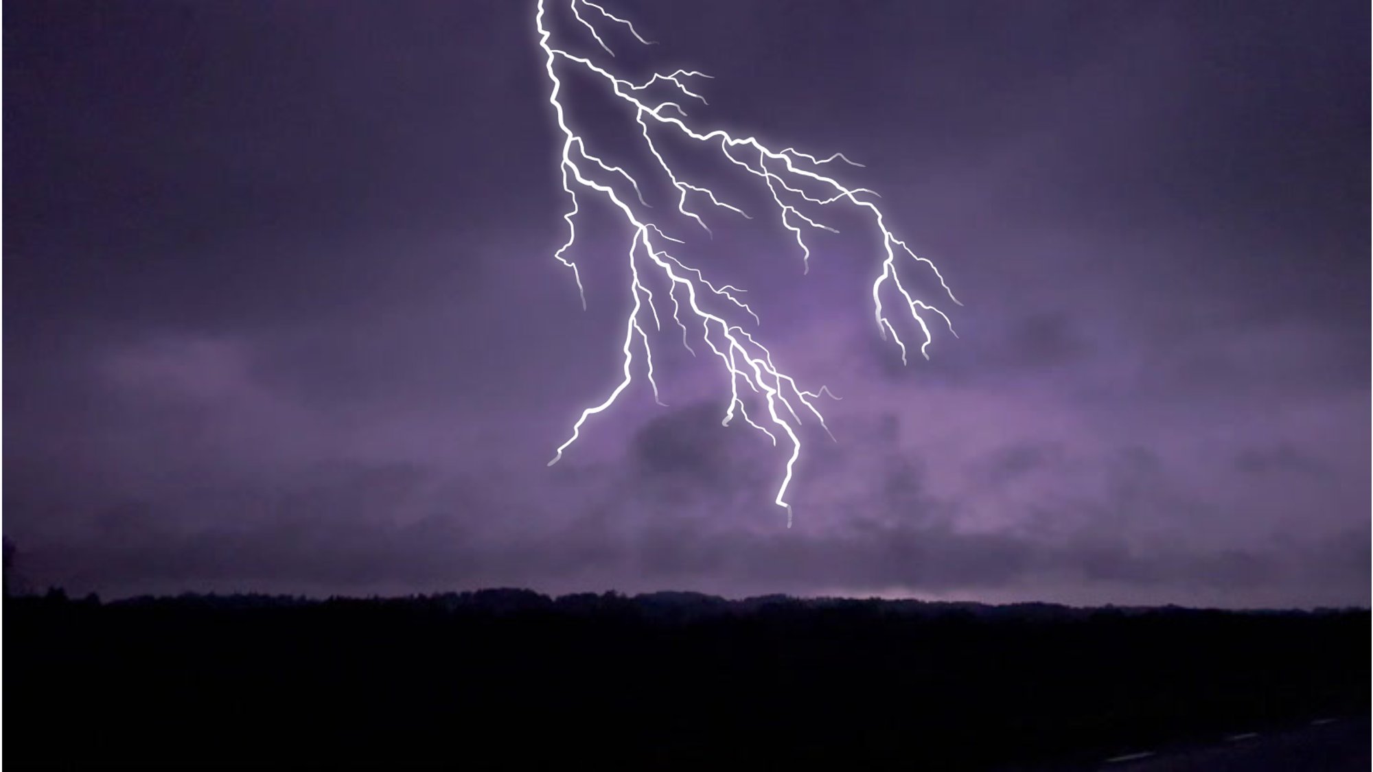 Teadlaste avastus: puud võivad äikese ajal „sädeleda“