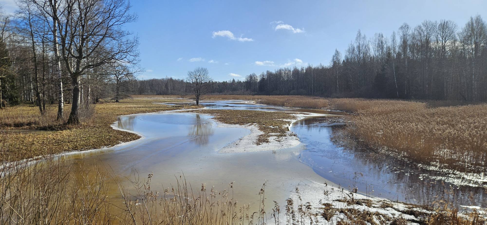 Kas tänavu läheb ka nii? Poole sajandi jooksul on Soomaal 5. aastaaeg kaks korda ära jäänud