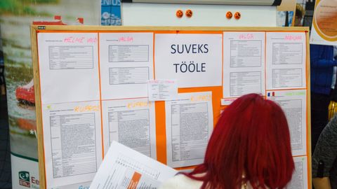 Suvetööde vastu valitseb rekordiline huvi