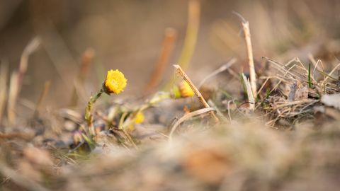 Reedel tõuseb õhutemperatuur kuni 14 kraadini