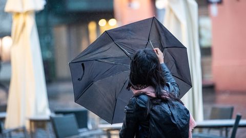 SAJUNE SUVI JÄTKUB ⟩ Lähipäevil tuleb kuni 20 kraadi sooja