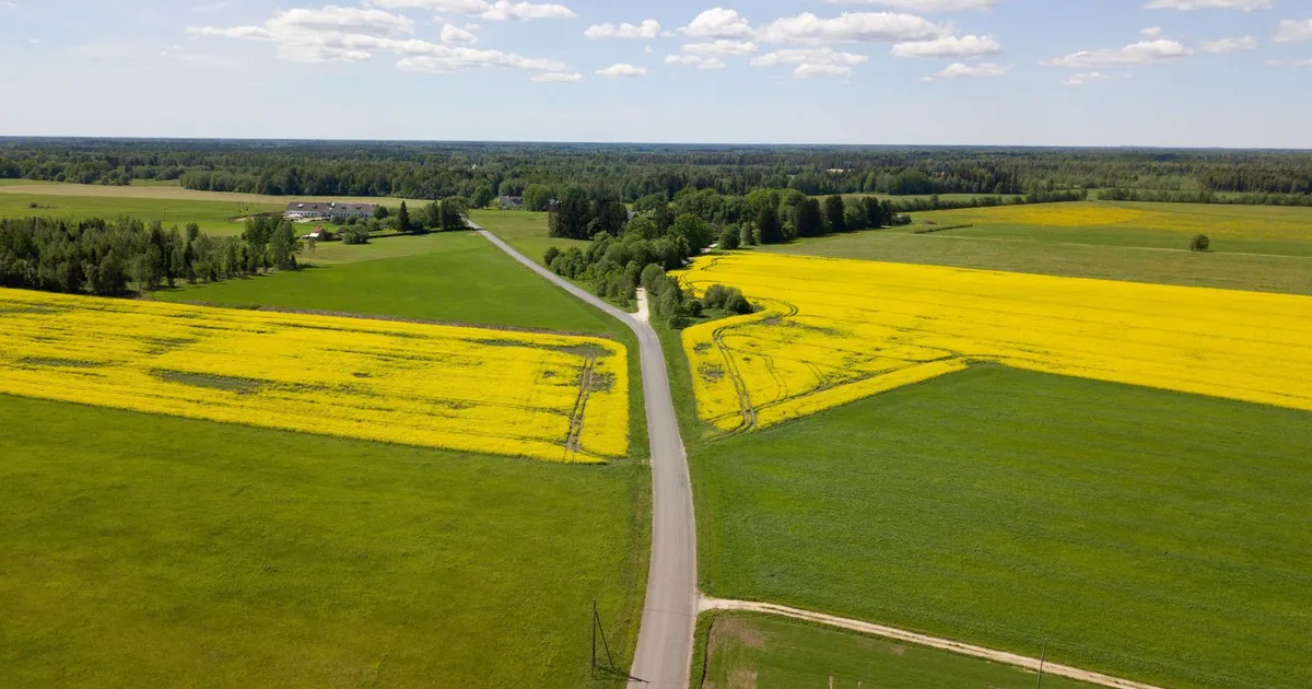 Teisipäeval on esimene maamaksu tasumise tähtaeg