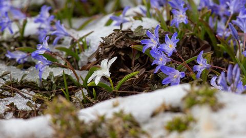 Teisipäeva öösel võib mandril lund sadada