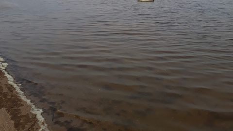 KAPO: Kalvi rannast leiti allakukkunud drooni tükke