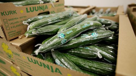 Kiletatud kurk ja pakendatud paprika jäävad minevikku