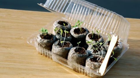 Äraviskamist ootav praht muuda külvianumaks