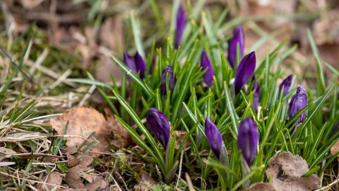 Reedel taevas selgineb