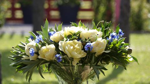 Kaval nipp aitab pojengiilu nautida ka sügisel
