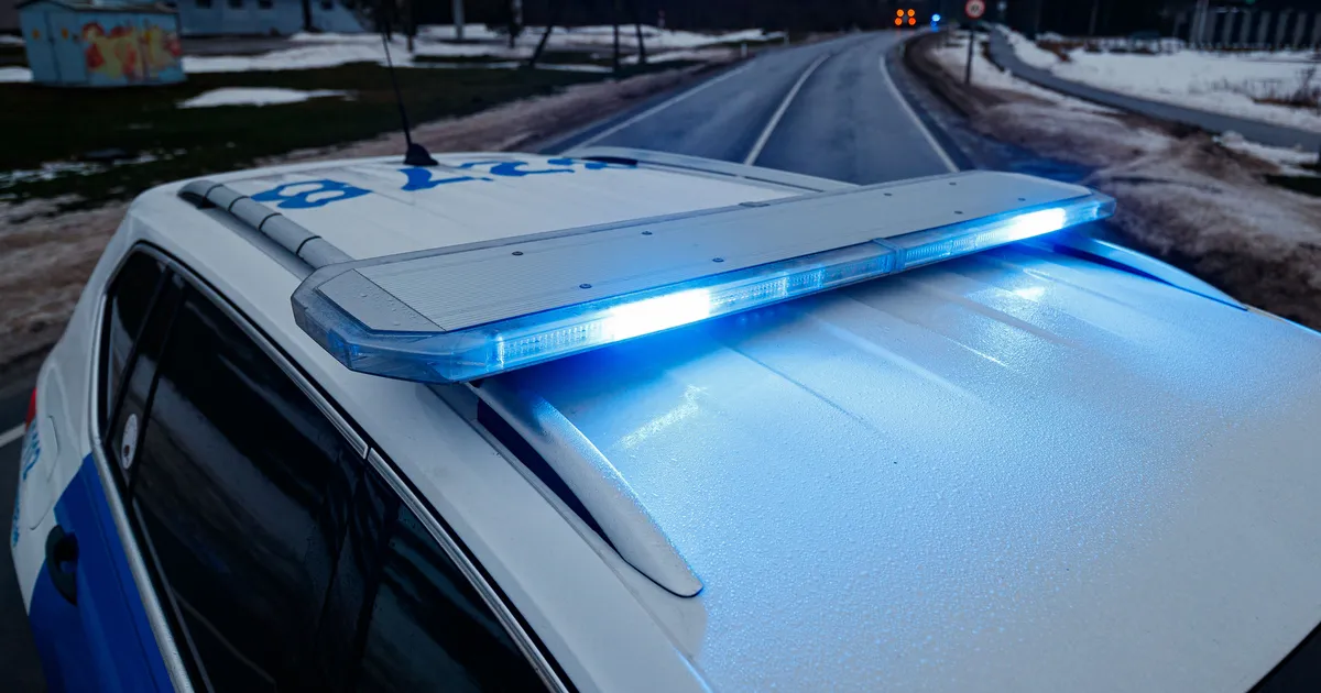 Teele jooksnud koer põhjustas kolmikavarii