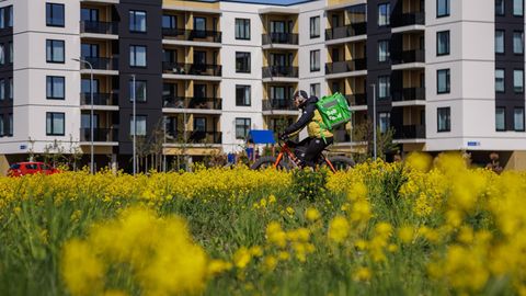 FOOKUS ⟩ Asupaik määrab sündimuse: Eesti vajab regionaalset eluasemepööret