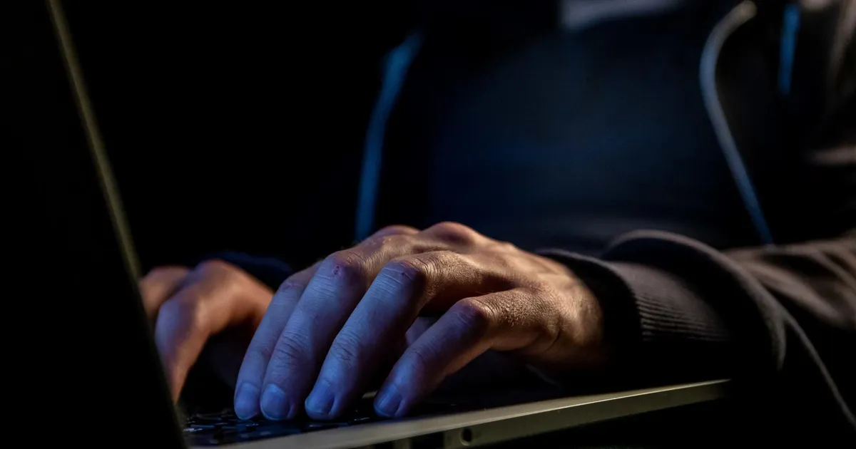 Veebikelmid said firmalt kätte 1,6 miljonit eurot