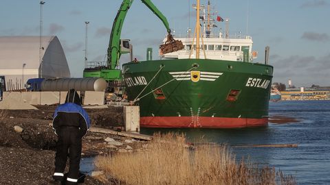 Märtsis kasvas nii kaupade eksport kui ka import