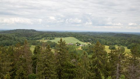RAIVO VETIK ⟩ Kaks Eestit 25 aastat hiljem: kas moraalne nui, millega teisele lajatada või meie kõigi peegel?