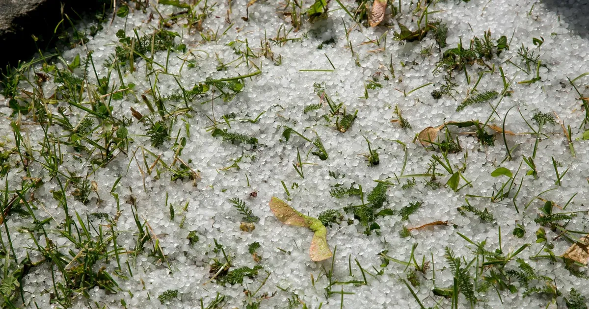 TERE, TALV! ⟩ Lõuna-Eestis muutis rahe maapinna valgeks