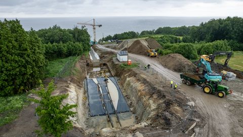 Eleringi tippjuht Sapp: kes maksab arve, kui kaablid katkevad?