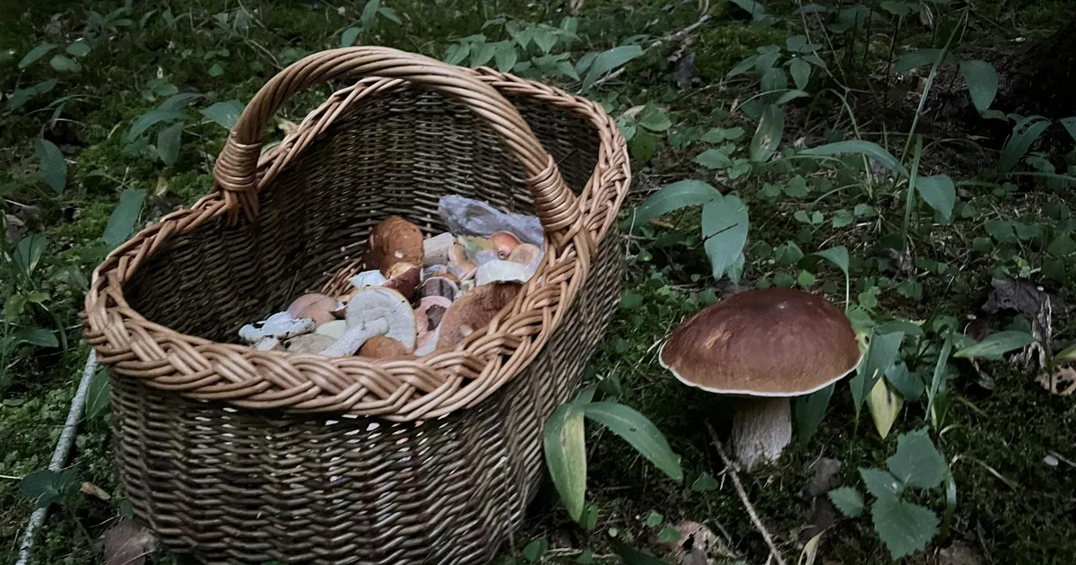 SOOME UURING ⟩ Seentest leitakse endiselt jälgi Tšornobõli katastroofist