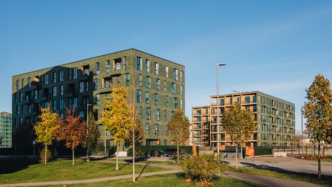 Õiguskantsler nõuab Tallinna linnalt Eesti põhiseaduse täitmist