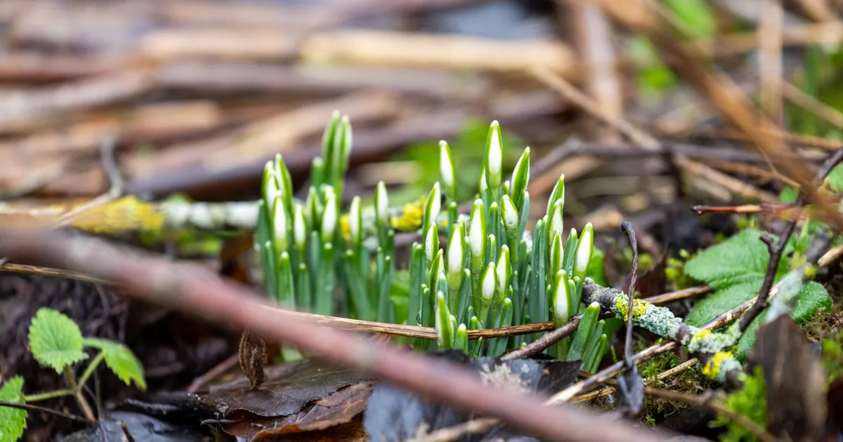 Laupäeval särab päike