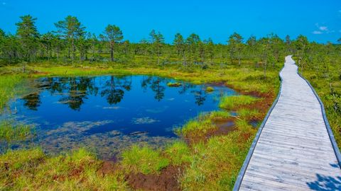 Eesti õhk on üks Euroopa puhtamaid: värske raport paigutab meid ka maailma eliiti