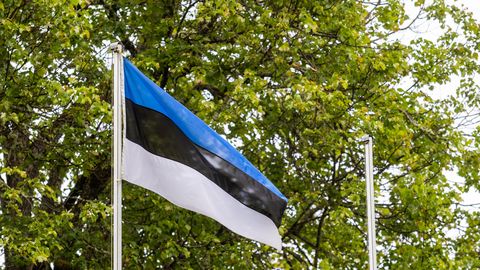 Lastekaitsepäeva puhul heisatakse esmaspäeval riigilipud