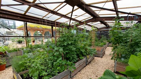 RAIVO SALUMÄE ⟩ Lapsed vajavad ema ja isa kõrval ka kogukonda