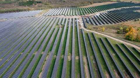 Börsielekter on aprillis tavapärasest märksa kallim. Eksperdid selgitavad, mis on selle põhjus