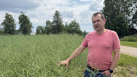 Rapsikasvataja: erinevalt kontoris istuvatest riigiametnikest ei saa meie oma palgas kunagi kindel olla