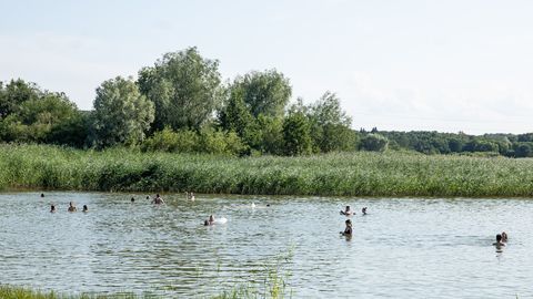 Harku järves ujumine ei ole ajutiselt soovitatav