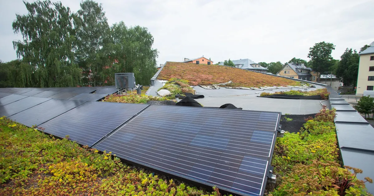 TEET KUKK ⟩ Energiasalvestus ei ole elektrijaam