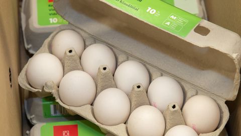 Munatootmine on kuue aastaga märgatavalt suurenenud