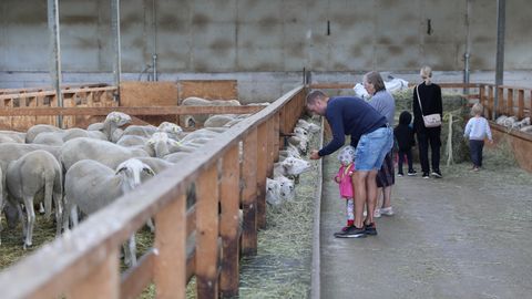 Avatud talude päevad kutsuvad talusid osalema
