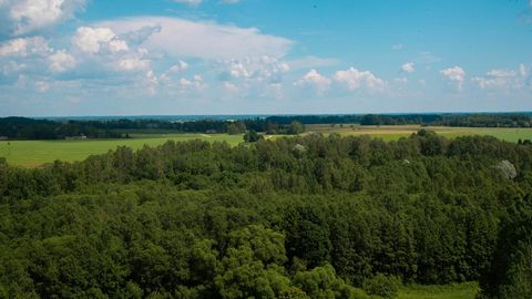 Esimene ülikoolide rohenädal vaatab kestlikkuse iga tahku