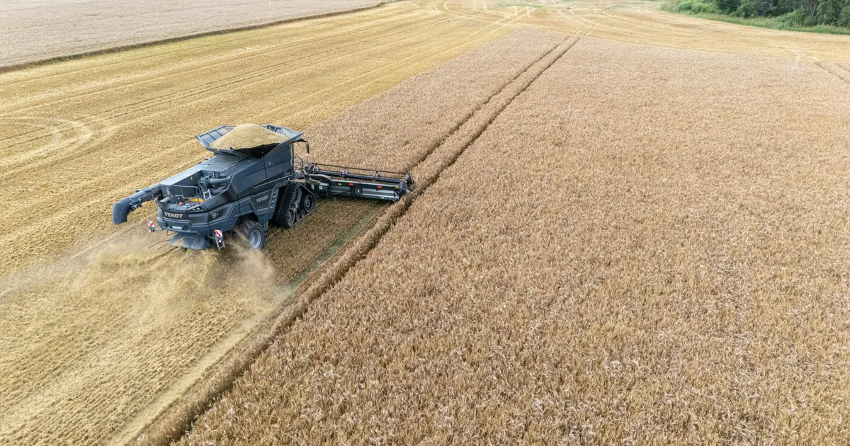 Taimekasvatuse ekspert: viljaturg sunnib tootjaid senist müügiloogikat ümber hindama